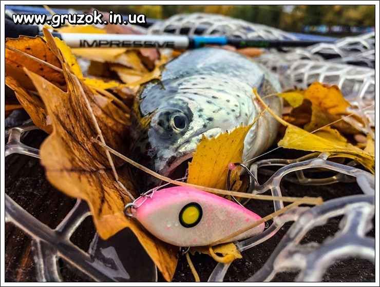 КУРСОР-розова спина КУРСОР 37