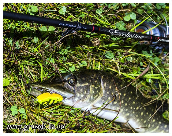 Щука на КУРСОР Щука на КУРСОР