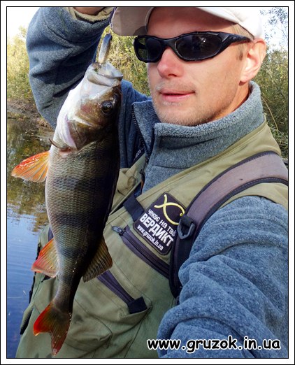 Окунь на КУРСОР Окунь на КУРСОР