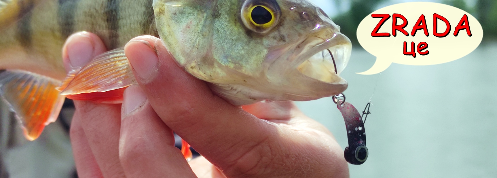 ZRADA приманка для окуня Цикада ZRADA