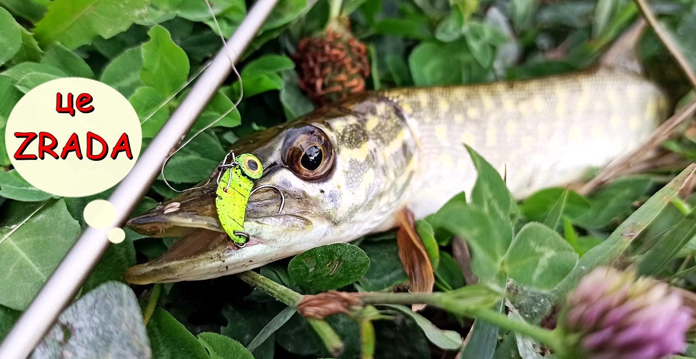 ZRADA приманка для щуки Цикада ZRADA