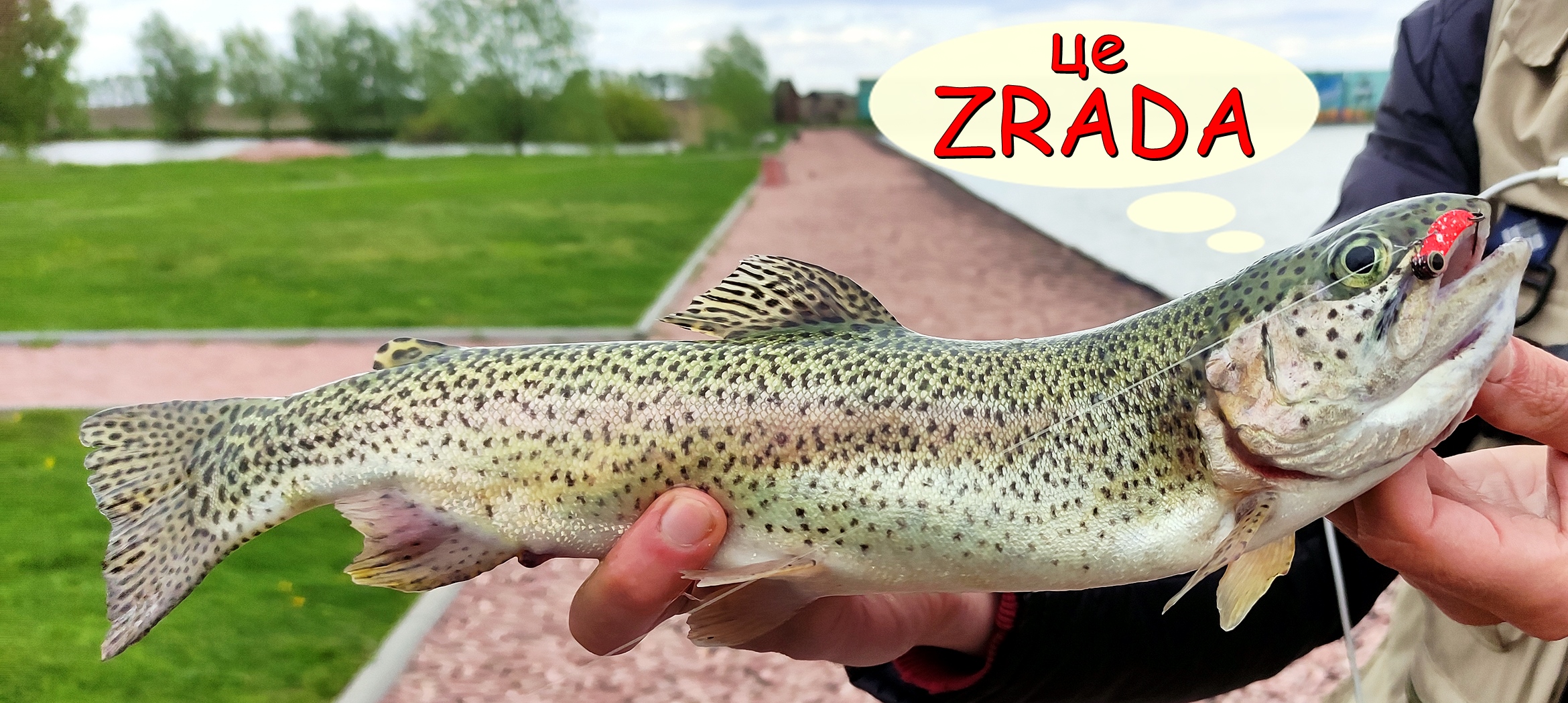 ZRADA приманка для форелі Цикада ZRADA